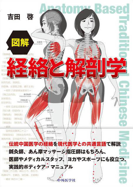 図解　経絡と解剖学