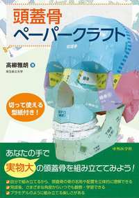 頭蓋骨ペーパークラフト